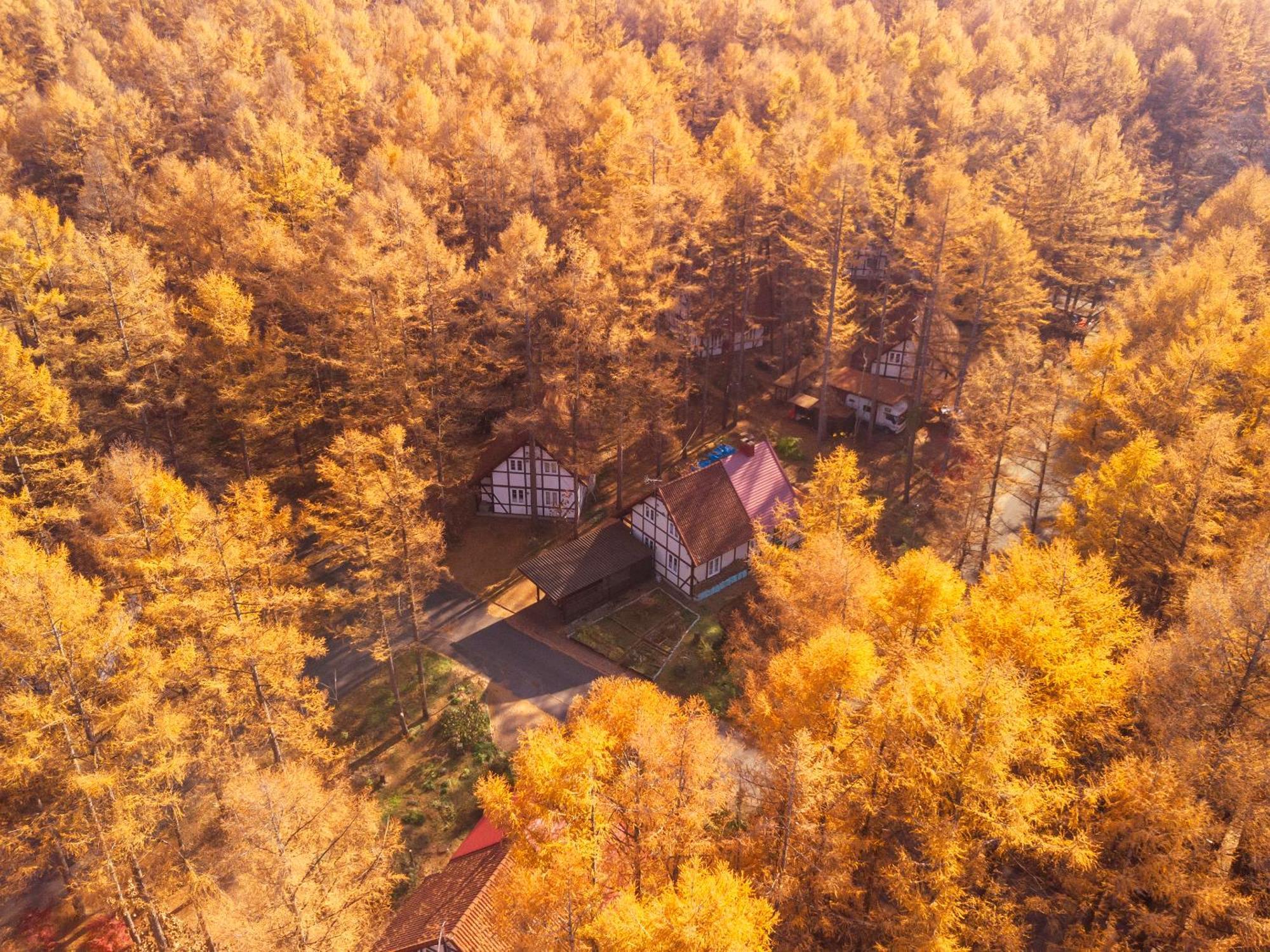 Tokachi Nakasatsunai Glamping Resort Feriendorf Екстериор снимка
